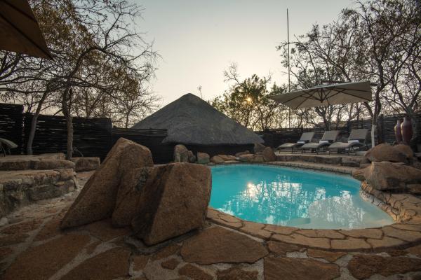 Tshukudu Bush Lodge - 276512