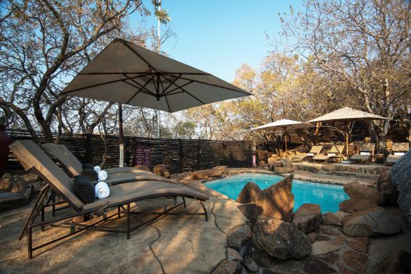 Tshukudu Bush Lodge - 276513
