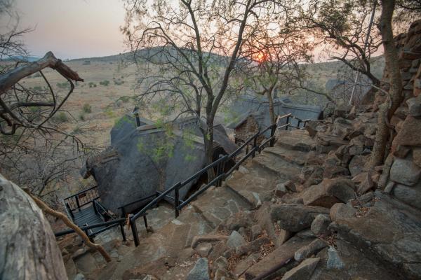 Tshukudu Bush Lodge - 276514