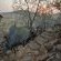 Tshukudu Bush Lodge - 276514