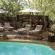 Tshukudu Bush Lodge - 276515