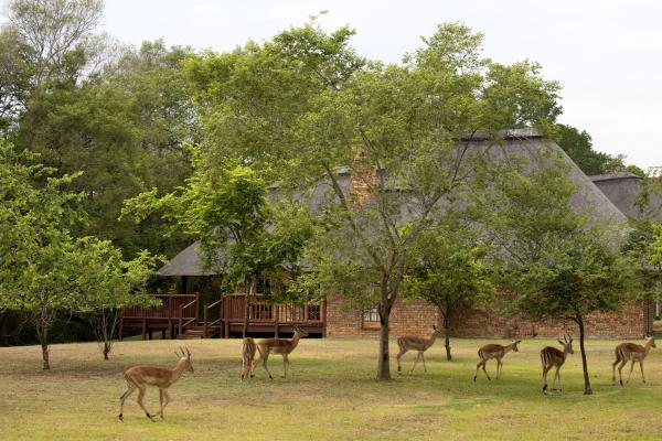 Kruger Park Lodge - 276525
