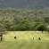 Kruger Park Lodge - 276528