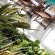 Banksia Boutique - 276722