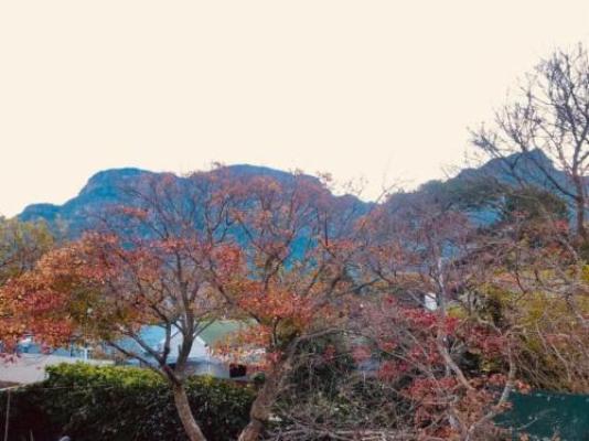 Authentic Newlands - Mountain view