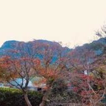 Authentic Newlands - Mountain view