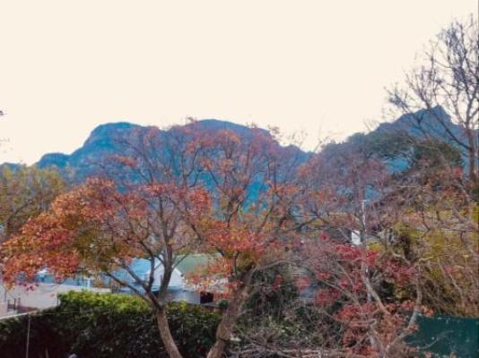 Authentic Newlands - Mountain view