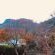 Authentic Newlands - Mountain view