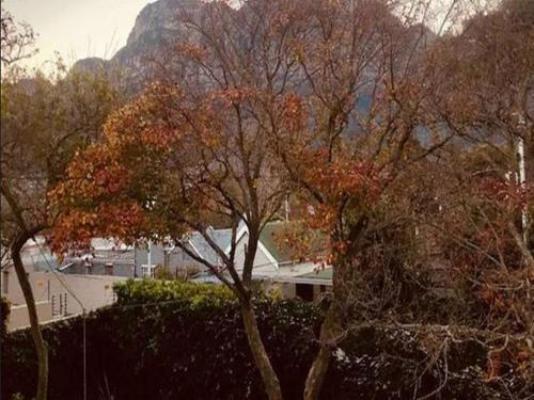 Authentic Newlands - Mountain view