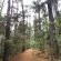 Panorama Guest House - Natural landscape