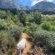 Panorama Guest House - Mountain view