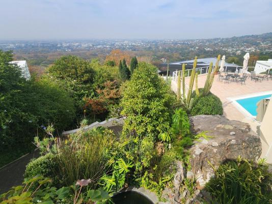 Panorama Guest House Newlands - 276885