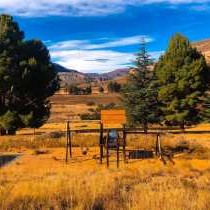 Yarona Guest Farms - 276982