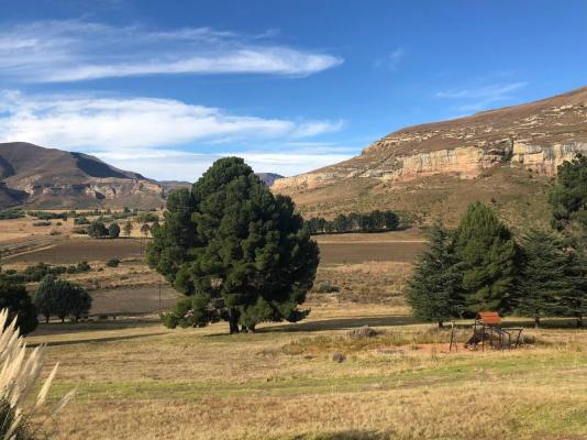 Yarona Guest Farms - 276983