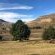 Yarona Guest Farms - 276983