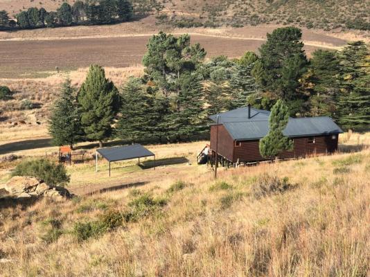 Yarona Guest Farms - 276984