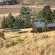 Yarona Guest Farms - 276984