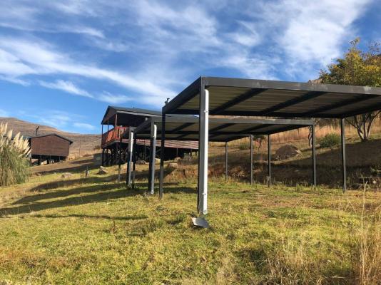 Yarona Guest Farms - 276985