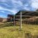 Yarona Guest Farms - 276985