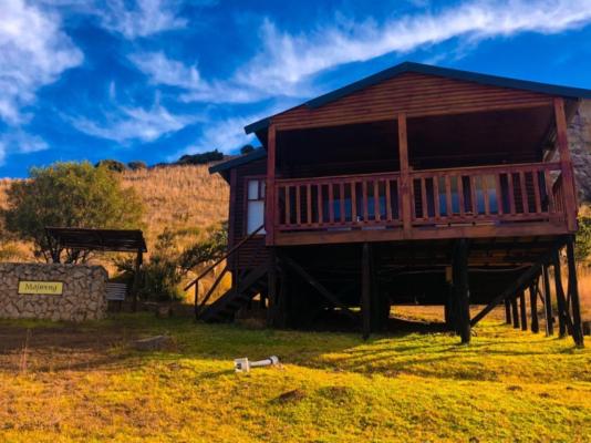 Yarona Guest Farms - 277006