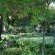 De Witt'e Guest House - 277015