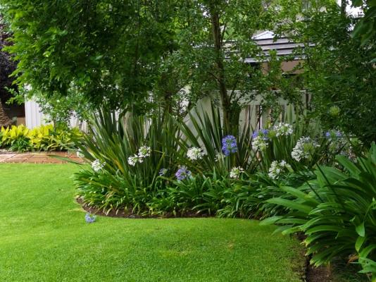 De Witt'e Guest House - 277022