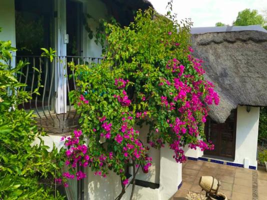 De Witt'e Guest House - 277024