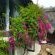 De Witt'e Guest House - 277024