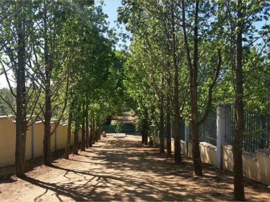 Amberhall Guesthouse  - 277167