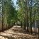 Amberhall Guesthouse  - 277167