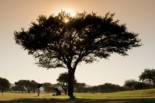 Windhoek Country Club Resort - 277246