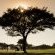 Windhoek Country Club Resort - 277246