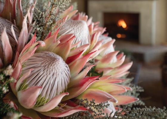 Botlierskop Private Game Reserve - 277411