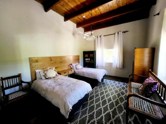 Tamboershoek - 277607