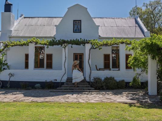 Tamboershoek - 277617