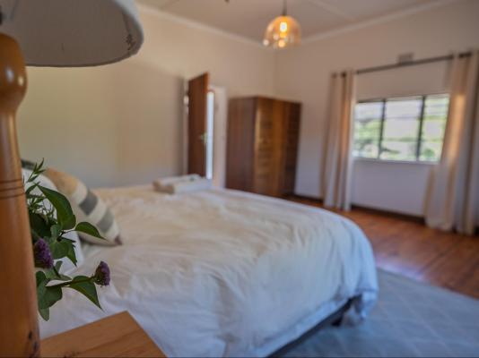 Tamboershoek - 277618