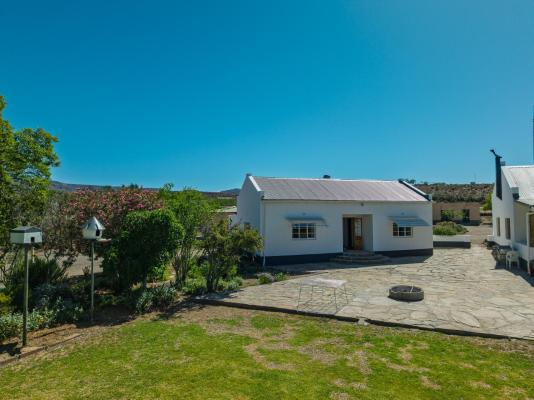 Tamboershoek - 277619