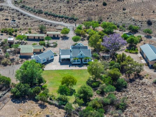 Tamboershoek - 277620