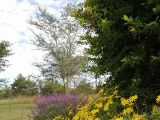 Umoya Private Retreat - Garden