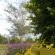 Umoya Private Retreat - Garden