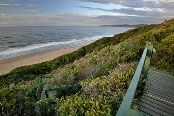 Wilderness Dunes - 277743