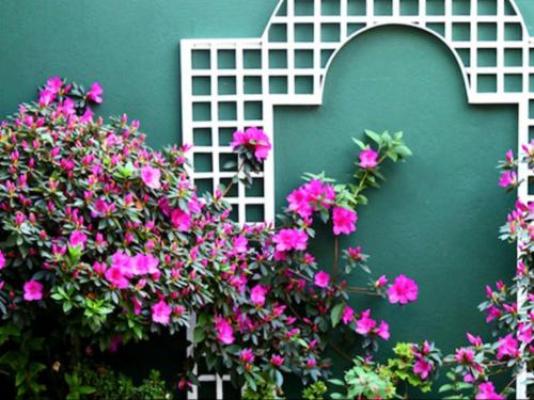 Atrium Guest House - Garden