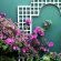 Atrium Guest House - Garden