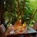 The Residence - 277886