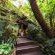The Residence - 277893