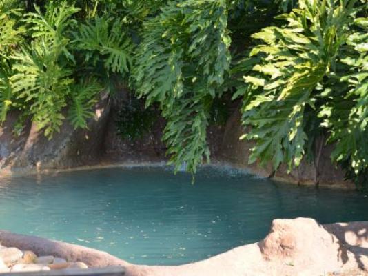 Beyond Cui Bono - Swimming pool