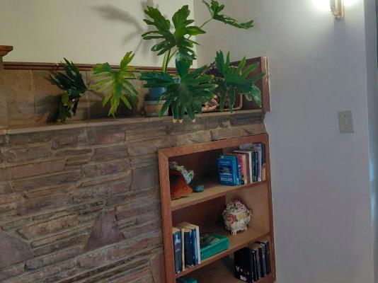Room image 4