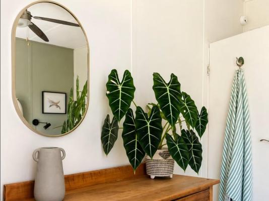 Room image 6