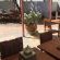 The Muize Bed and Breakfast - 278385
