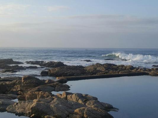 Sea Cottage - 278455